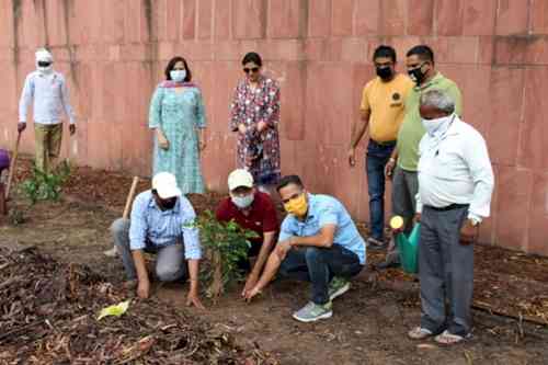 A Plantation Drive was undertaken on July 21, 2020 by the Department of Ancient Indian History, Culture and Archaeology, Panjab University, Chandirah. Total number of 30 saplings of ficus plants were planted in a row outside the Departmental Museum, informed  Dr. Paru Bal Sidhu, Chairperson . The Horticulture staff and JE Mr. Singla   provided  all necessary help and support for this endeavour undertaken by the department.  