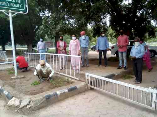 Plantation Drive at DLIS: Department of Library and Information Science, Panjab University, Chandigarh carried out a plantation drive on July 22, 2020 with Faculty members and staff planting in the area between Arts Block-IV parking.