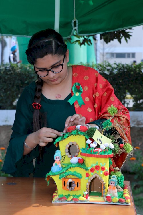 Department of Agriculture, CT Group of Institutions, Shahpur campus organized a flower show on February 20, 2020.