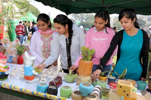 Department of Agriculture, CT Group of Institutions, Shahpur campus organized a flower show on February 20, 2020.