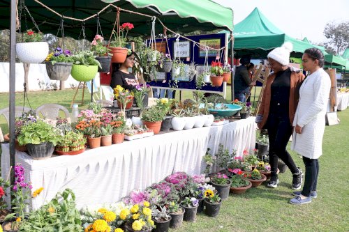 Department of Agriculture, CT Group of Institutions, Shahpur campus organized a flower show on February 20, 2020.