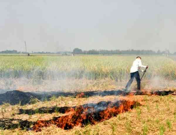 90 pc drop in stubble burning in Punjab, Haryana: Centre