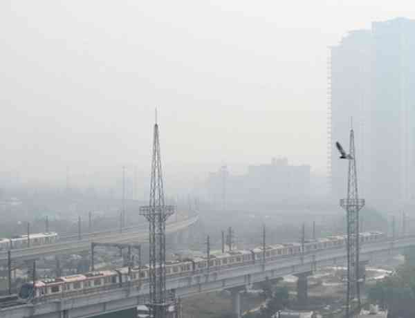 CAQM tells northern states to curb wheat stubble burning during harvest season