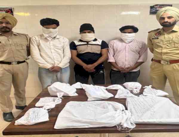 Punjab Police bust gang involved in mule accounts; three held