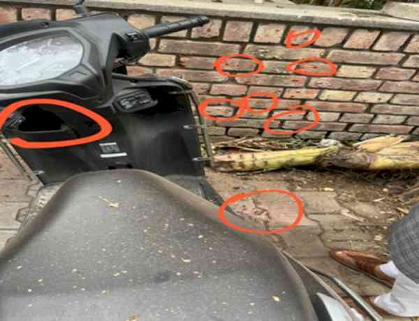 Low-intensity blast outside BJP office in Chandigarh; probe underway