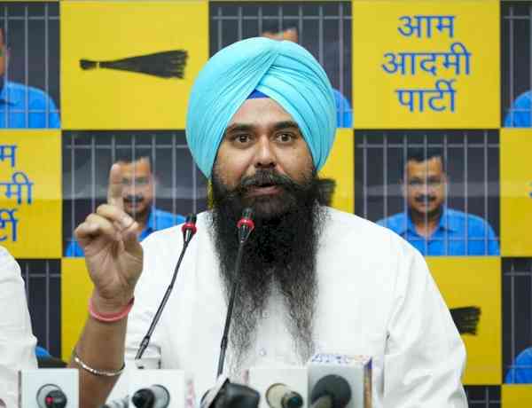 AAP MP Malvinder Singh Kang Raises Alarm Over SIR Exercise