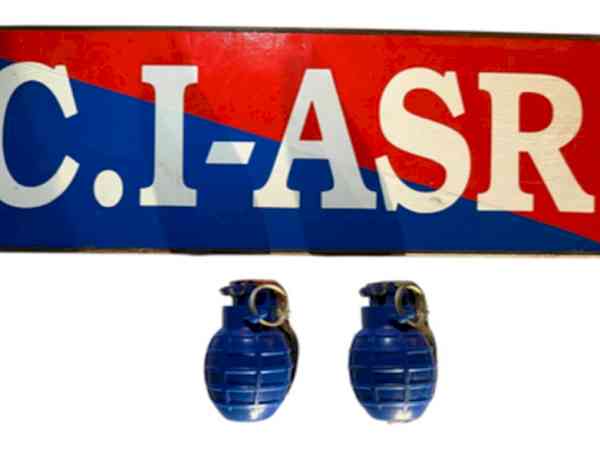 Punjab Police bust BKI module, two arrested with hand grenades