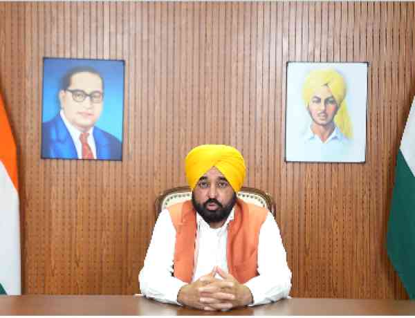 I Am Not Person In Fake Video: CM Bhagwant Singh Mann