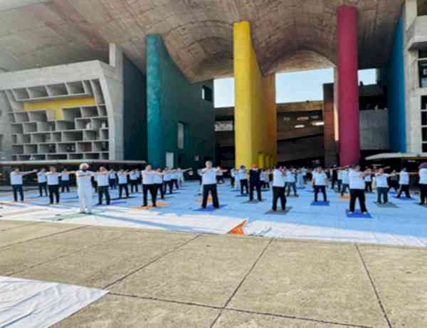 Punjab and Haryana High Court judges, advocates perform yoga