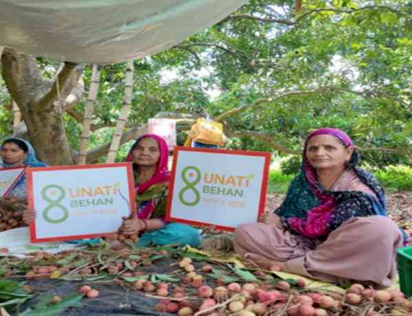 Punjab's litchi exported to Oman for 1st time: Piyush Goyal