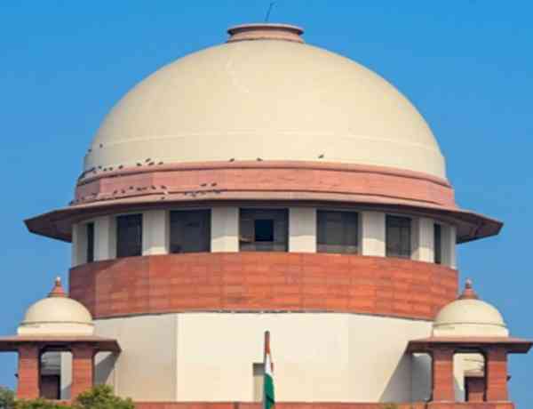 ‘Halt lecturers recruitment’: Punjab SC panel asks Education Dept