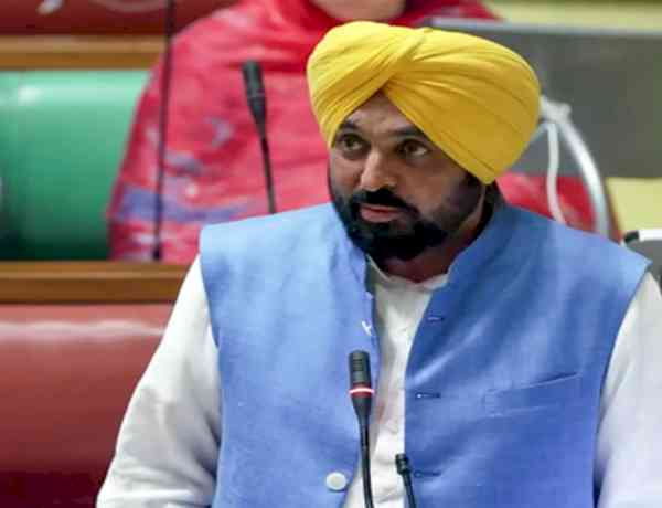 HC directs Punjab govt to clear DA dues within 15 days, restrains it from undertaking large-scale ad campaign