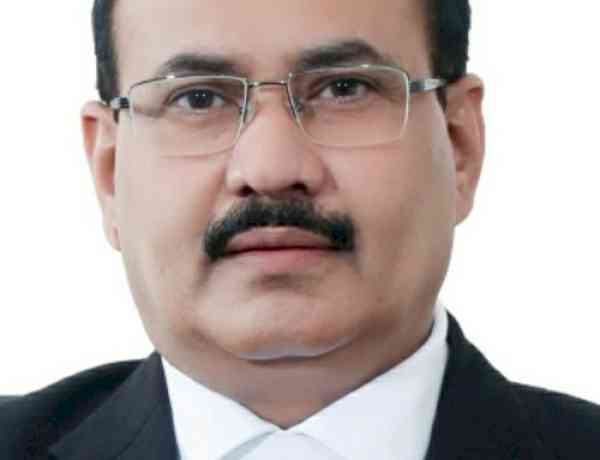 Bar Association Elections in Punjab, Haryana, Chandigarh on Sept 11; Bar Council Extends Key Deadlines