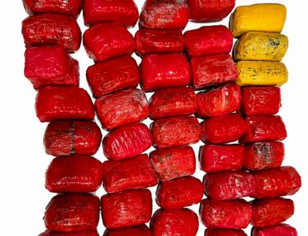 44.5 Kg heroin, 3 kg ice recovered near Indo-Pak Border in Ferozepur