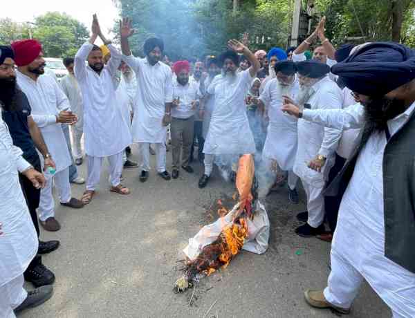 Akali Dal stages protest outside DC office over power cuts