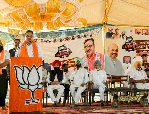 Rajasthan CM targets AAP over drug menace in Punjab