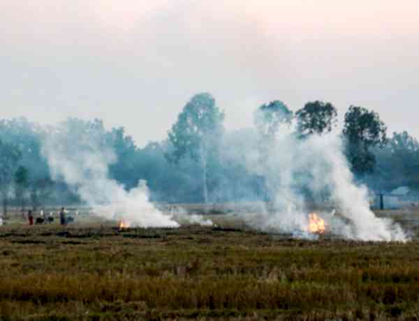 Punjab records 52 stubble-burning fires; one FIR filed