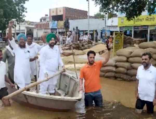 Rain exposes paddy procurement shortcomings, says Punjab BJP