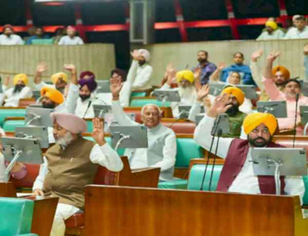 Detained at Delhi airport, Punjab CM Mann informs Assembly