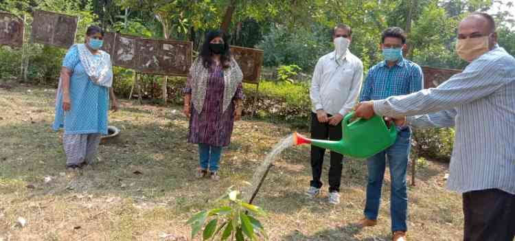 World Environment Day celebrated by PU Departments