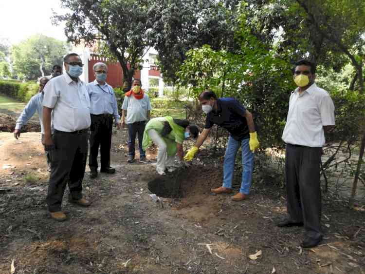Horticulture Division of Panjab University celebrates world environment day 
