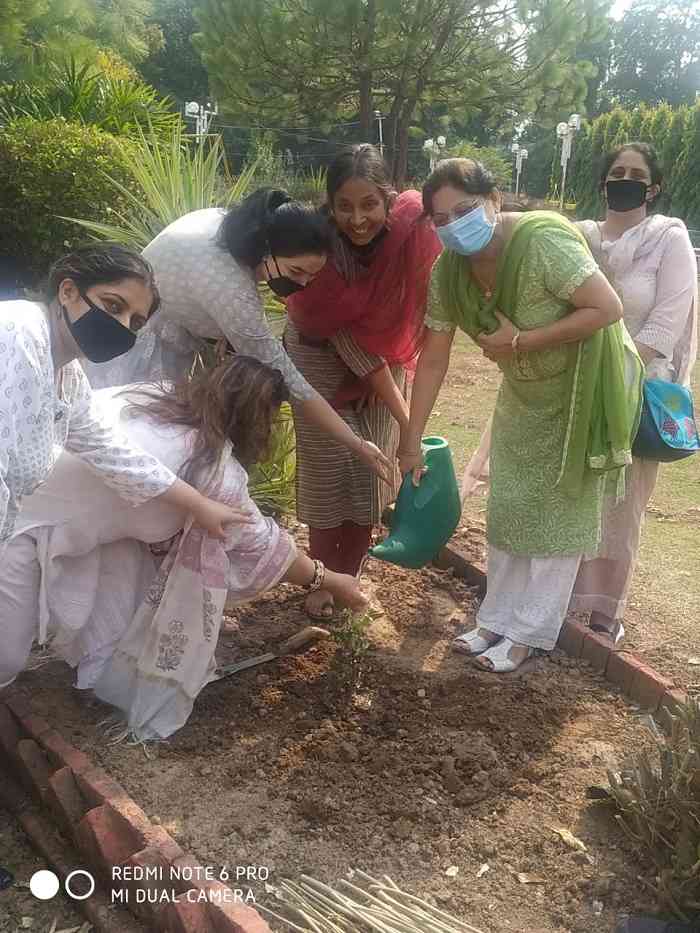 Tree plantation drive started from Women Hostel No. 6 (Mother Teresa Hall)