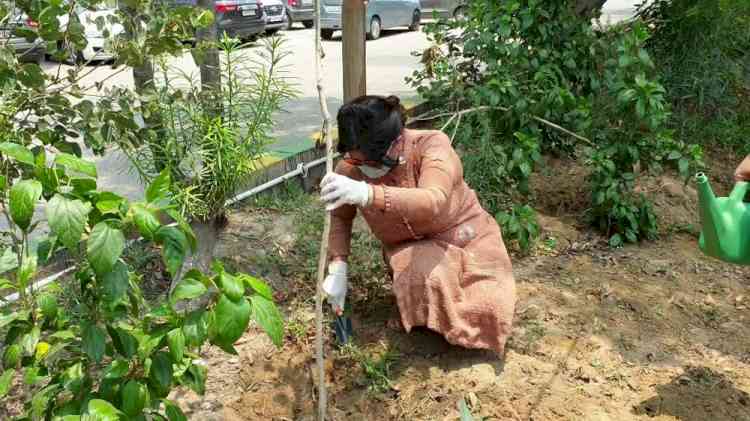 Gaurs Group upholds healthy environment spirit with plantation drive