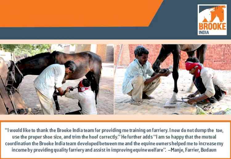 Transforming Farriery Profession by imparting skill-based training to Local Street Farriers in India