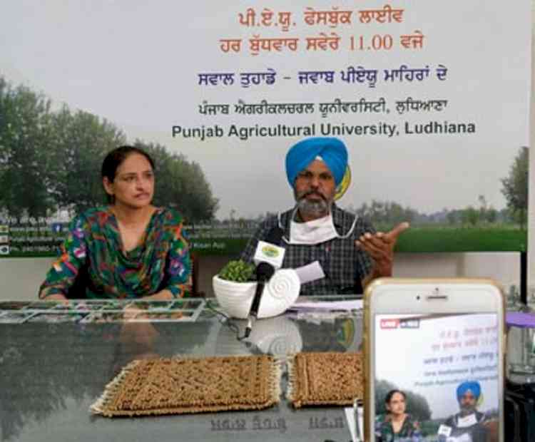 PAU facebook live gets positive feedback from farmers
