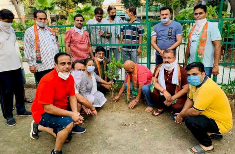 वृक्षों की हरियाली के बिना मानव जीवन की कल्पना करना व्यर्थ है: पुष्पेंद्र सिंगल 