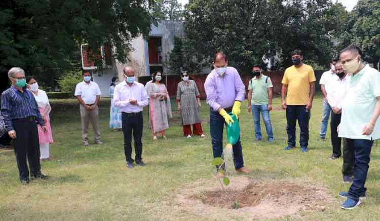 Tree plantation drive commences at PU