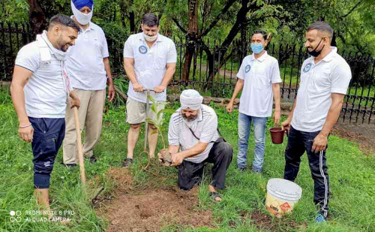 समस्या समाधान टीम ने प्रशासन से मांगी पेड़ों के पास से कंक्रीट हटाने की परमिशन