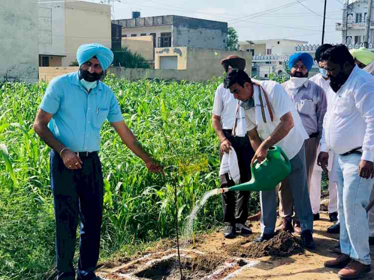 Capt Sandeep Singh Sandhu launches vana mahotsav drive 