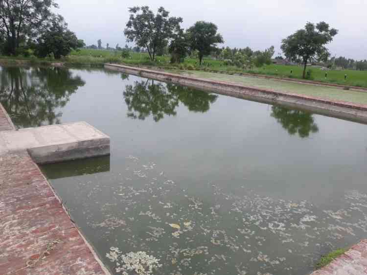 Punjab government incurs Rs.3.40 crore on cleaning of 413 ponds in Ferozepur district amid lockdown 