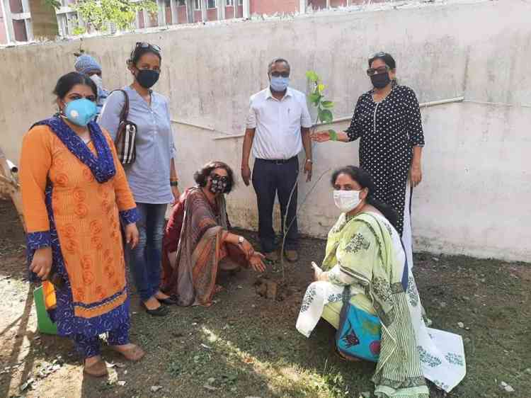 PU Girls Hostels No. 3-6 carried plantation drive