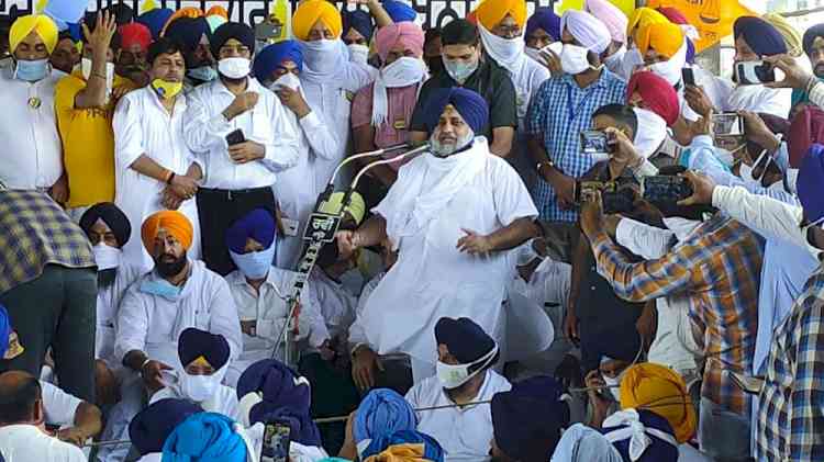 Cong MLAs running liquor mafia in Punjab: Sukhbir Singh Badal