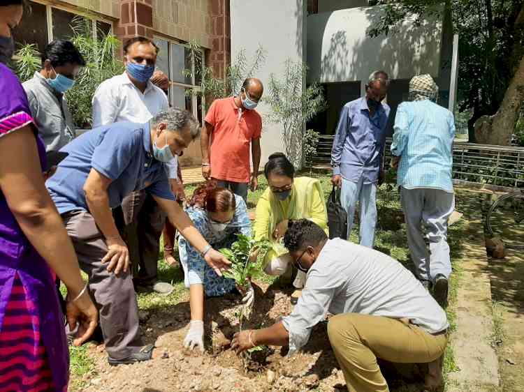 Plantation drive at ICSVS PU