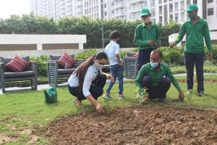 M3M Foundation organizes tree plantation drive in Gurugram on 74th I-Day