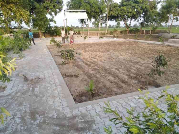 District Administration appoints 1297 van-mitras to upkeep 2.69 lakh saplings planted in Ferozepur