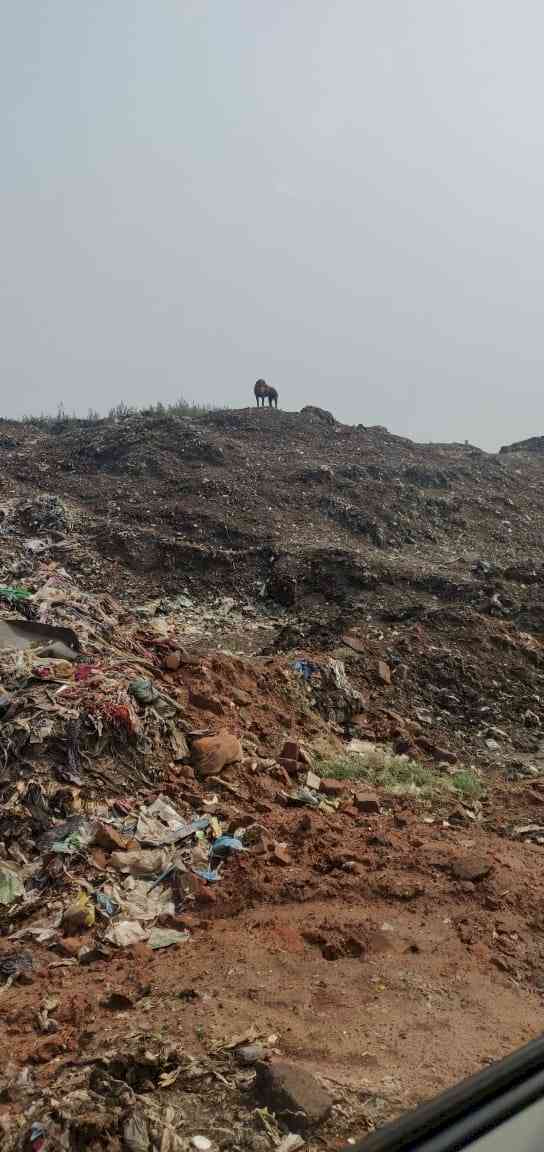 The waste management challenge