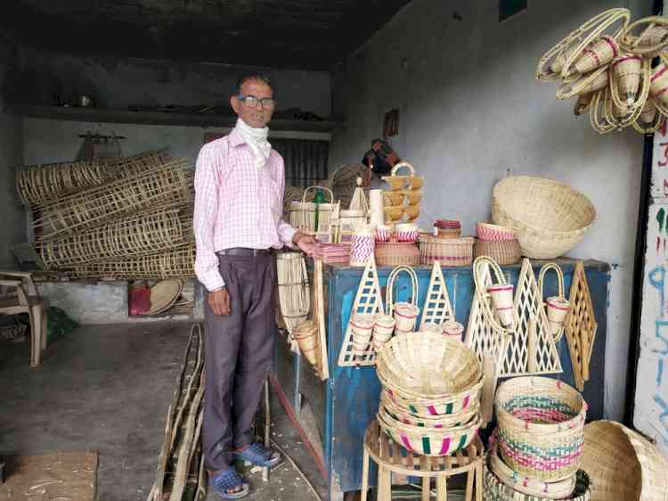 Bamboo farming way to safe employment and environment in HP
