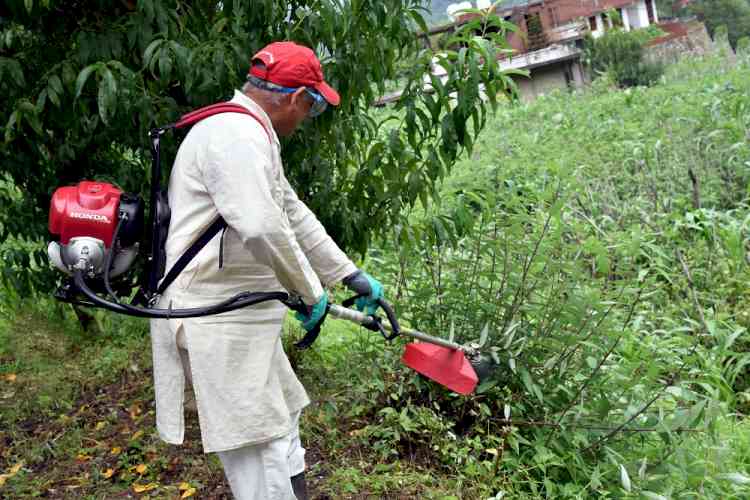 Brush cutter for hilly area launched