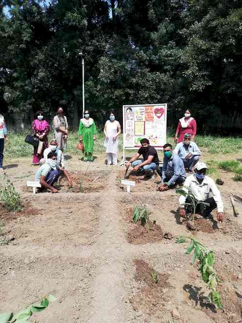 Inauguration of immunity boosting kitchen garden at Home Science College