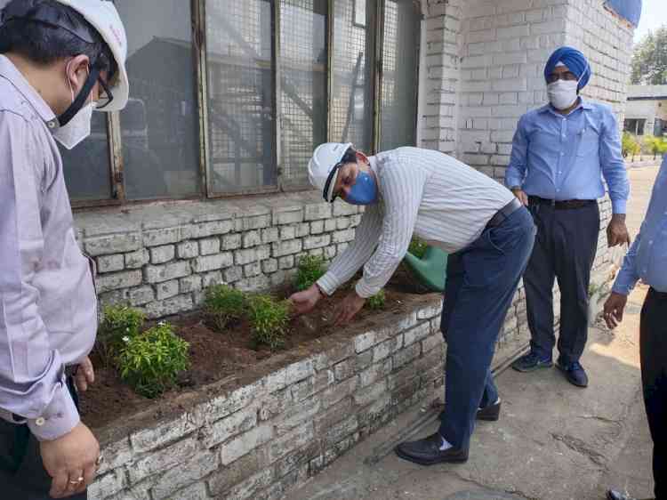 Lord Vishwakarma Jayanti observed by plantation drive at Hero Steels Limited