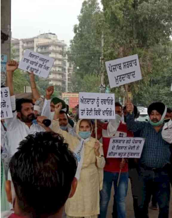 AAP leader Swarnjit Kaur supported farmers movement