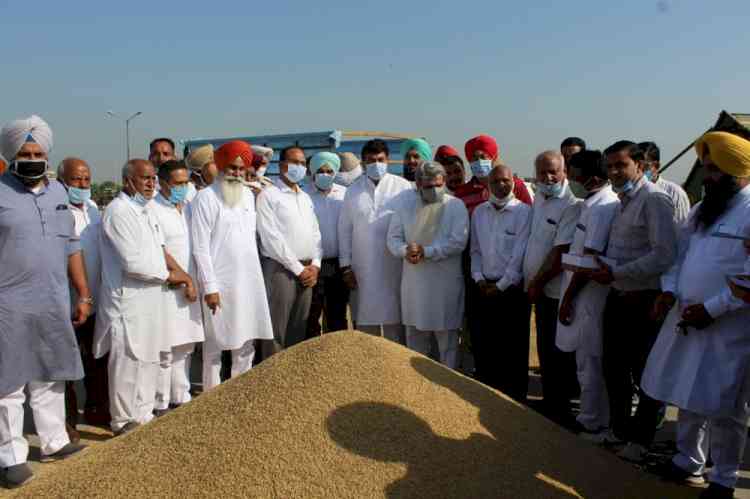 Bharat Bhushan Ashu officially inaugurates paddy procurement at Mullanpur grain market