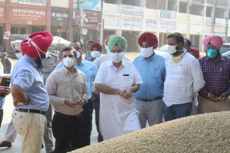 Secretary Mandi Board takes stock of procurement in Ludhiana mandis