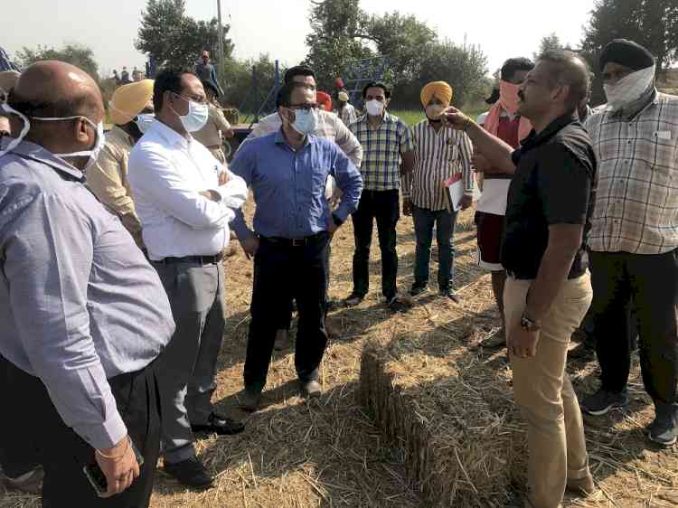 Instead of burning paddy straw, farmers can sell it to generate extra income: DC