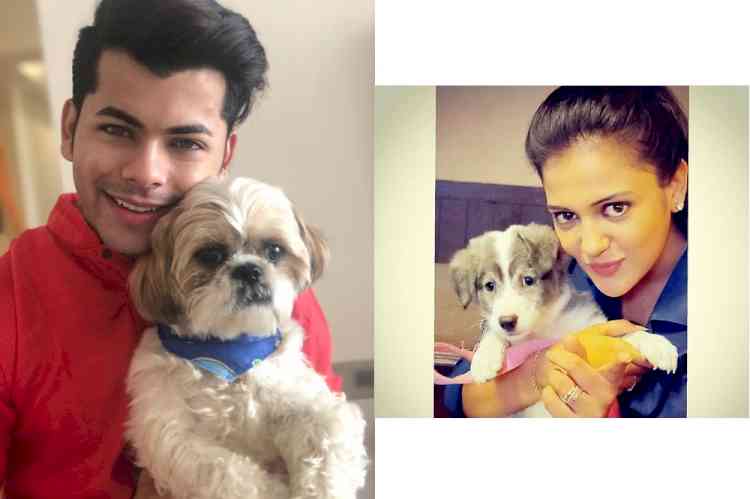 Pet parents Siddharth Nigam and Gulki Joshi to celebrate Diwali with their beloved furry babies