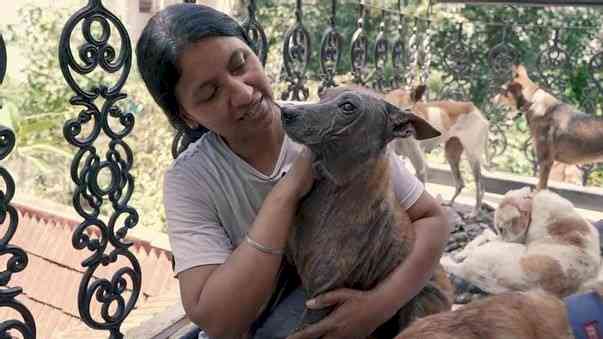 Bengaluru woman with no job or savings feeds 400 plus stray dogs